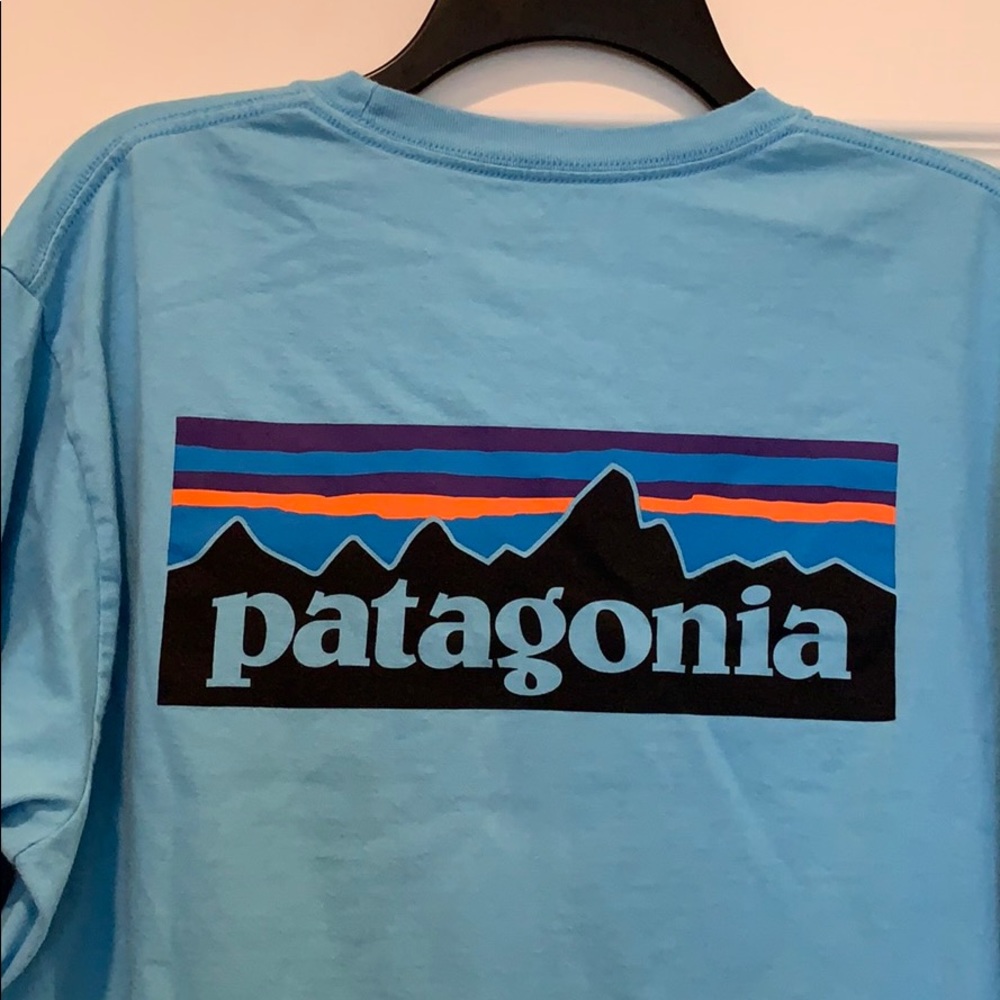 Patagonia, Long Sleeved tee, blue, Sz. L